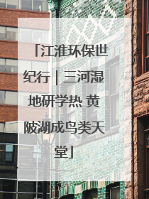 江淮环保世纪行｜三河湿地研学热 黄陂湖成鸟类天堂