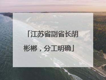 江苏省副省长胡彬郴，分工明确