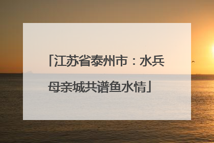 江苏省泰州市：水兵母亲城共谱鱼水情