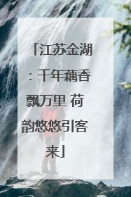 江苏金湖：千年藕香飘万里 荷韵悠悠引客来
