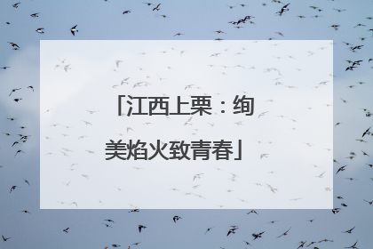 江西上栗：绚美焰火致青春
