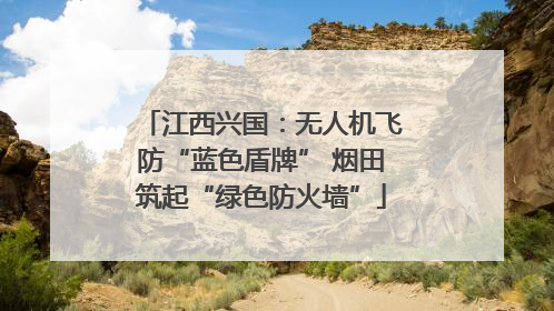 江西兴国：无人机飞防“蓝色盾牌” 烟田筑起“绿色防火墙”