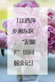 江西萍乡湘东区：“泥腿子”田间掘金记