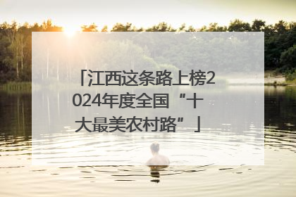 江西这条路上榜2024年度全国“十大最美农村路”