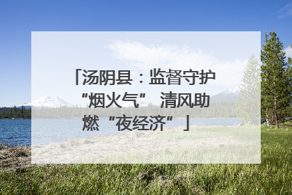 汤阴县：监督守护“烟火气” 清风助燃“夜经济”
