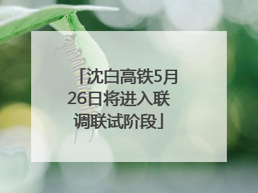 沈白高铁5月26日将进入联调联试阶段
