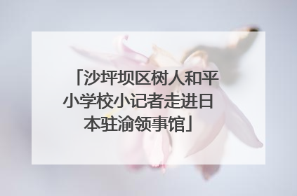 沙坪坝区树人和平小学校小记者走进日本驻渝领事馆