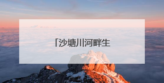 沙塘川河畔生态文旅产业兴