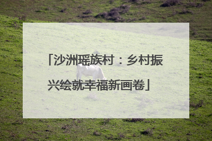 沙洲瑶族村：乡村振兴绘就幸福新画卷