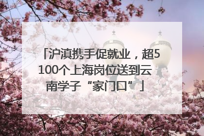 沪滇携手促就业，超5100个上海岗位送到云南学子“家门口”