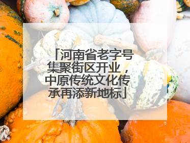 河南省老字号集聚街区开业，中原传统文化传承再添新地标