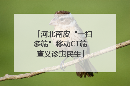河北南皮“一扫多筛”移动CT筛查义诊惠民生
