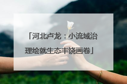 河北卢龙：小流域治理绘就生态丰饶画卷