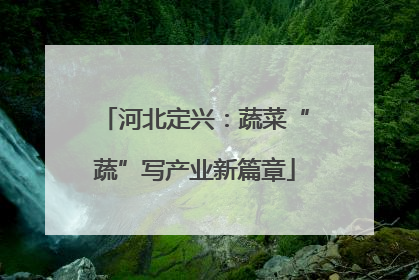 河北定兴：蔬菜“蔬”写产业新篇章