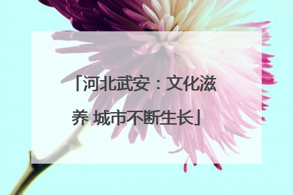 河北武安：文化滋养 城市不断生长