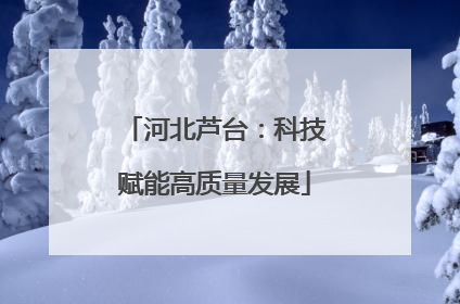 河北芦台：科技赋能高质量发展