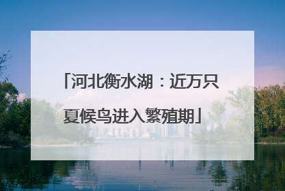 河北衡水湖：近万只夏候鸟进入繁殖期