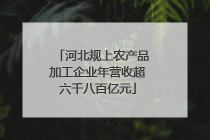 河北规上农产品加工企业年营收超六千八百亿元
