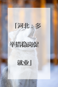 河北：多举措稳岗促就业