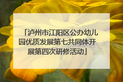 泸州市江阳区公办幼儿园优质发展第七共同体开展第四次研修活动