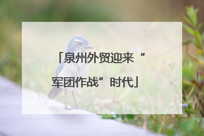 泉州外贸迎来“军团作战”时代