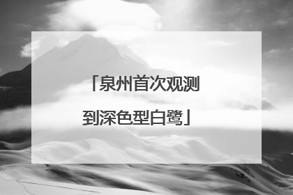 泉州首次观测到深色型白鹭