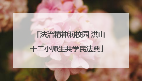 法治精神润校园 洪山十二小师生共学民法典