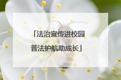 法治宣传进校园 普法护航助成长