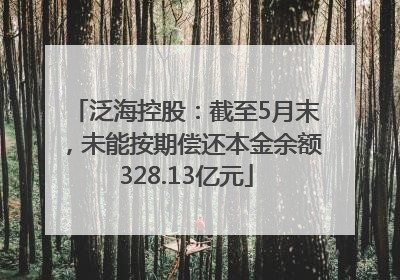 泛海控股：截至5月末，未能按期偿还本金余额328.13亿元