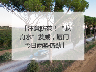 注意防范！“龙舟水”发威，厦门今日雨势仍劲
