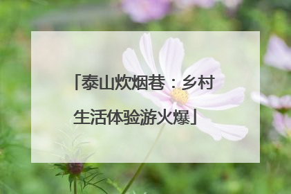 泰山炊烟巷：乡村生活体验游火爆