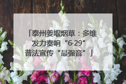 泰州姜堰烟草：多维发力奏响“6·29”普法宣传“最强音”