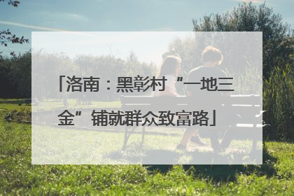 洛南：黑彰村“一地三金”铺就群众致富路