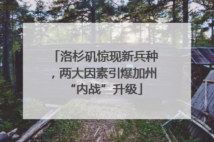 洛杉矶惊现新兵种，两大因素引爆加州“内战”升级