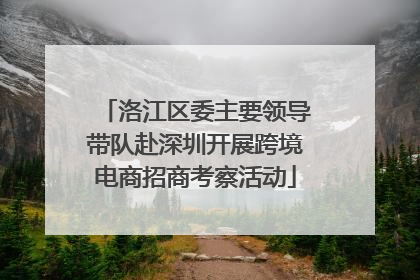 洛江区委主要领导带队赴深圳开展跨境电商招商考察活动