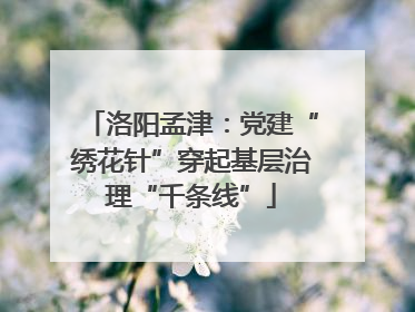 洛阳孟津：党建“绣花针”穿起基层治理“千条线”