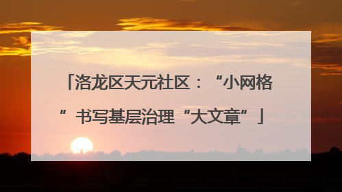 洛龙区天元社区：“小网格”书写基层治理“大文章”
