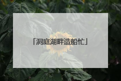 洞庭湖畔造船忙