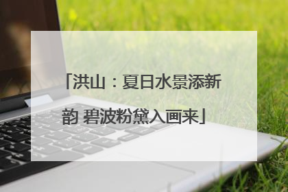 洪山：夏日水景添新韵 碧波粉黛入画来