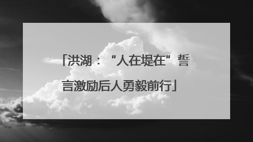 洪湖：“人在堤在”誓言激励后人勇毅前行