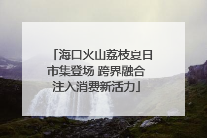 海口火山荔枝夏日市集登场 跨界融合注入消费新活力