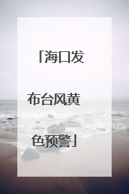 海口发布台风黄色预警