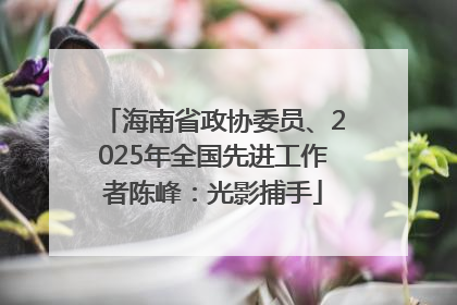 海南省政协委员、2025年全国先进工作者陈峰：光影捕手