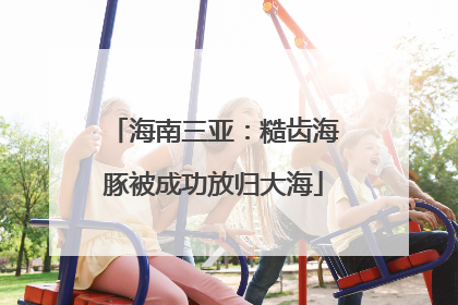 海南三亚：糙齿海豚被成功放归大海