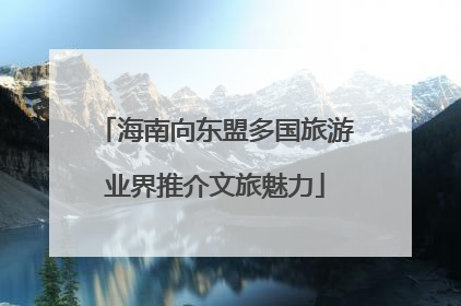 海南向东盟多国旅游业界推介文旅魅力