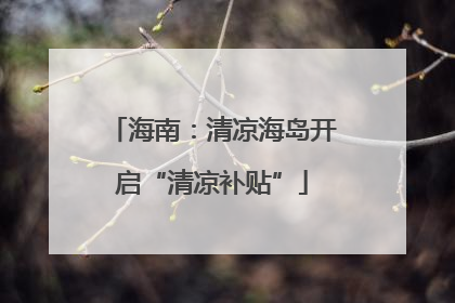 海南：清凉海岛开启“清凉补贴”