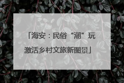海安：民俗“潮”玩激活乡村文旅新图景