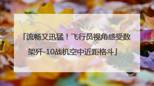 流畅又迅猛！飞行员视角感受数架歼-10战机空中近距格斗