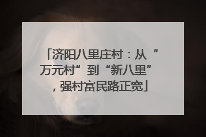 济阳八里庄村：从“万元村”到“新八里”，强村富民路正宽