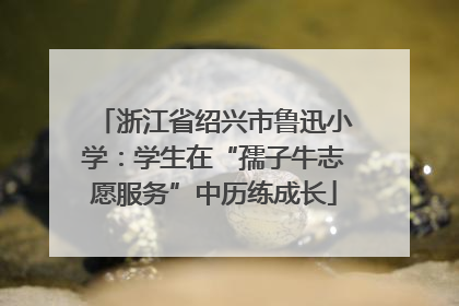 浙江省绍兴市鲁迅小学：学生在“孺子牛志愿服务”中历练成长